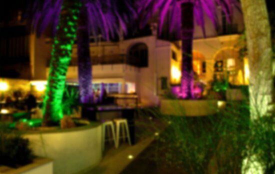 Mastropiero Gastrobar y Jardín